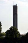 Padua
