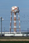 Yuma